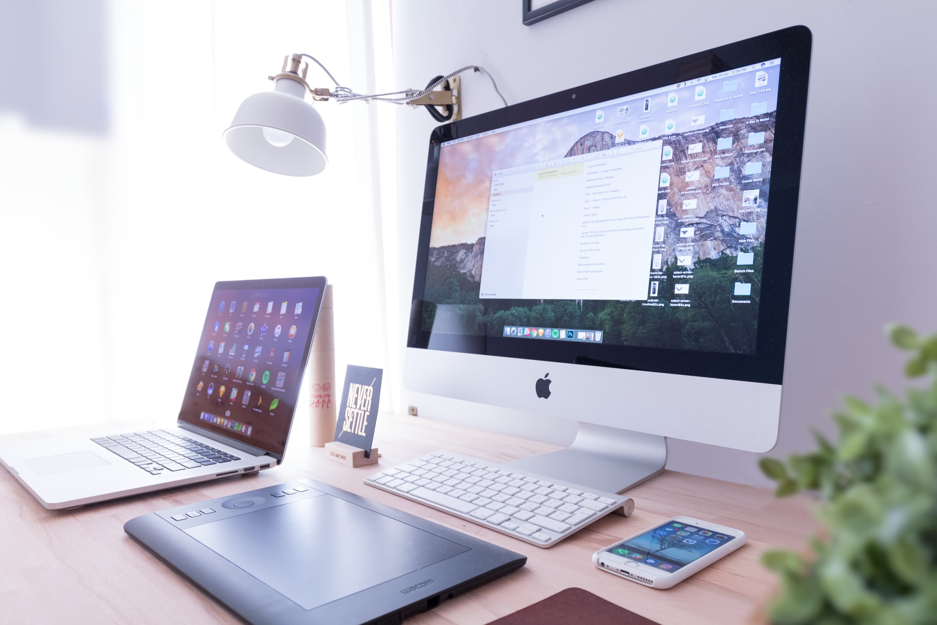 Maximize Your Software ROI: Money Saving Tips for Entrepreneurs
