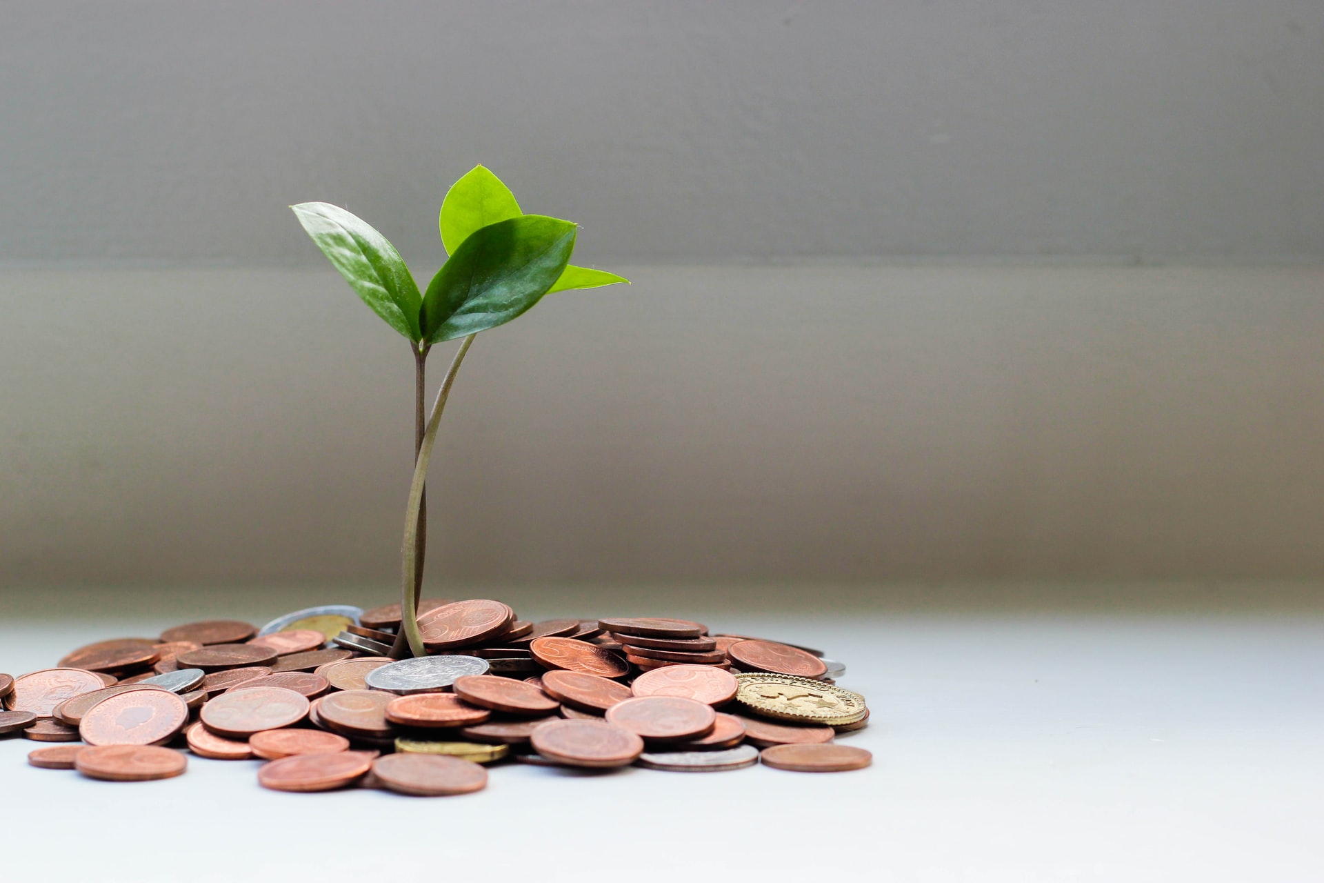 Do Trust Loans Impact Credit Score?