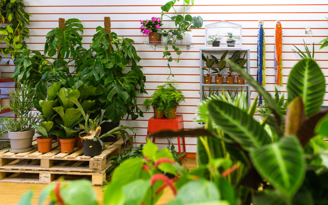 Tips for Running a Successful Garden Center