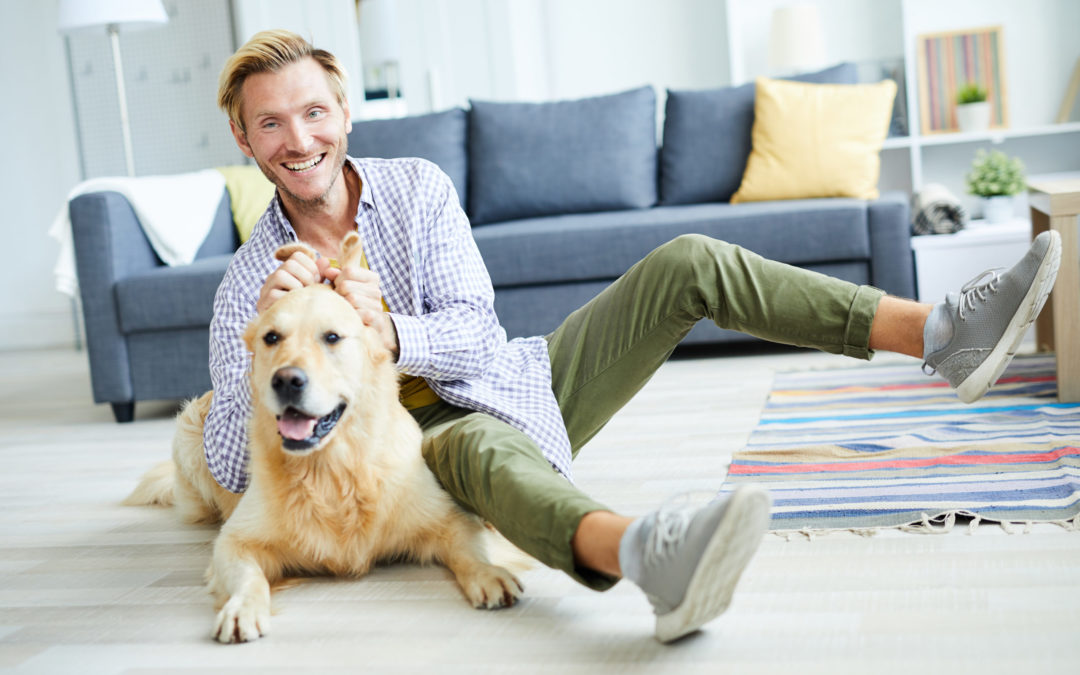 Does Having a Pet Impact Your Indoor Air Quality?