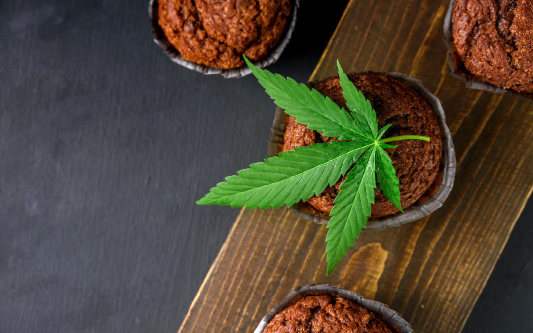 Thinking of Becoming a Cannabis Manufacturer? Follow These Helpful Tips