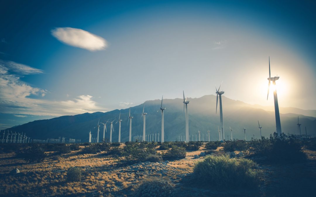 Valuable Resources That Come From the Earth